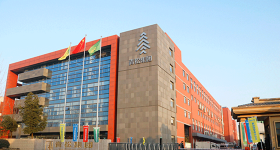 青松集團 青松集團